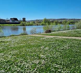 Frühlingsspaziergang in Erlenbach