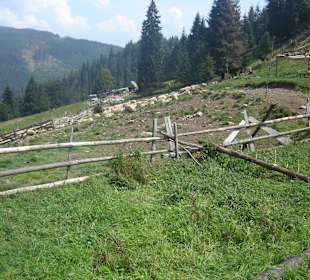 Parcul Natural Apuseni