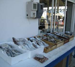 Fischstand