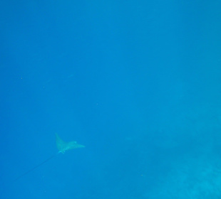 Three Corners Fayrouz Plaza Beach Resort