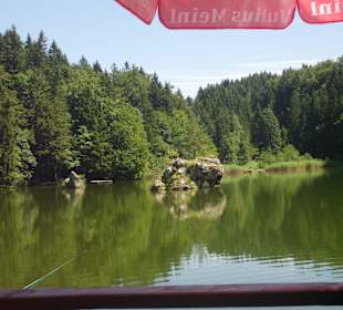 Blick vom Café auf den See