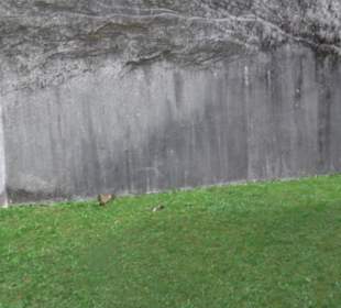 Kirche zu den Heiligen Drei Königen