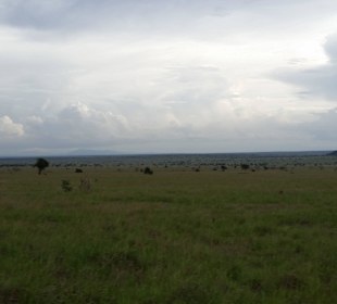 Sarova Salt Lick Game Lodge