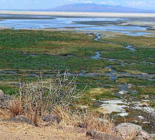 Ausblick auf Lake Manyara