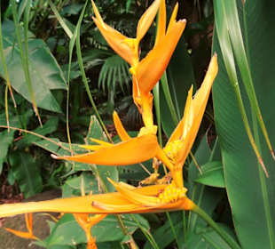 Impressionen vom Jardin des Parfums et des Epices