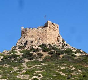 Burg