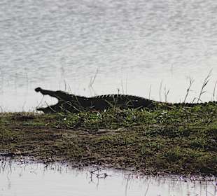Tour mit Chamin, Yala Nationalpark