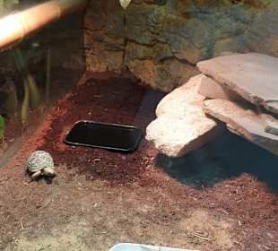 Allwetterzoo Münster