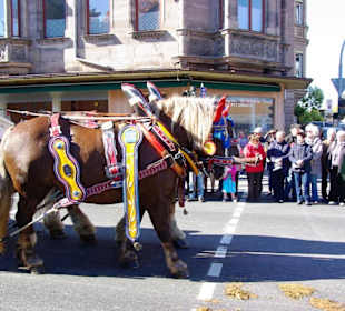 Trachtenver.Oberferrieden Treidelschiff