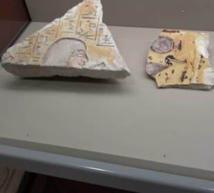 Museum Alte Kulturen