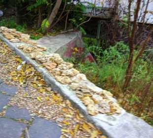 Die Altstadt - Citybereich von Odessa