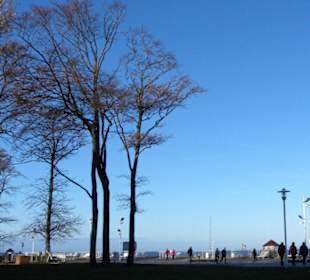 Kühlungsborn Promenade