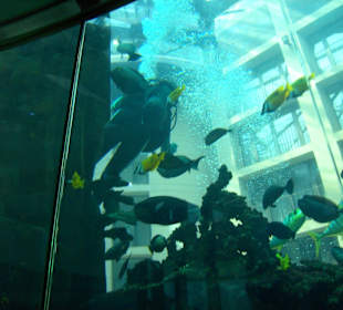 Aquadome mit Taucher