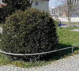 Theater Reutlingen Die Tonne