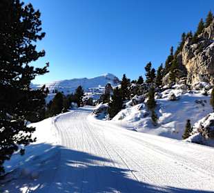 Skipiste durch die Steinerne Stadt