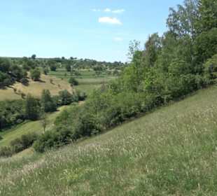 Burg Kräheneck Reusten