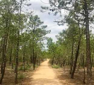 Wandern Monte Gordo