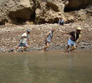 Treideln wie vor 100 Jahren