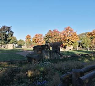 Zoologischer Garten Prag