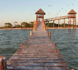 Isla de los Pajaros / Isla Morena