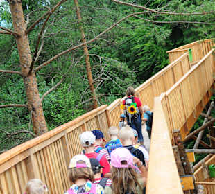 Walderlebniswelt Klopeiner See