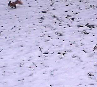 Łazienki wczesną wiosną.