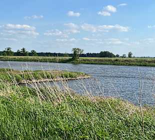 Wandern Lutherstadt Wittenberg