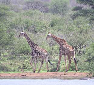 Sunset Dam Lower Sabie