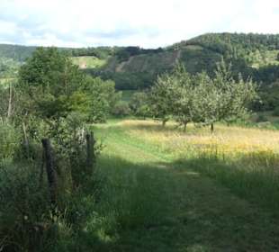 Wanderweg Ammerbucher Gigeleswegle