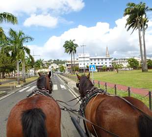 Mit der Kutsche durch Fort de France