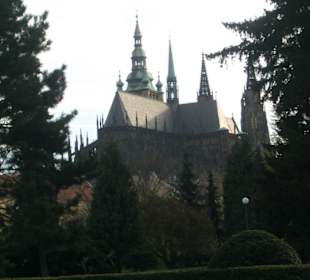 Zahrady Pražského Hradu