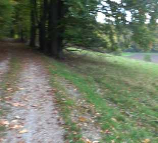 Wanderung Felsen Sankt Johann