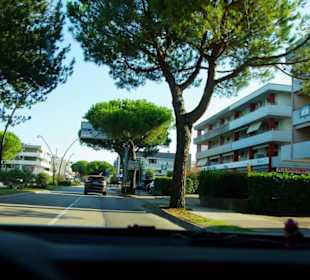 Hier schon alles Ferienwohnungen