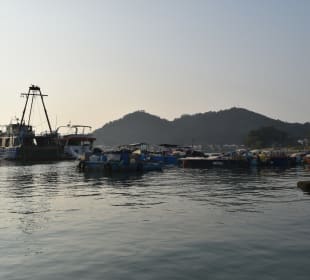 Fischerdorf Tai O Schnellboot-Tour