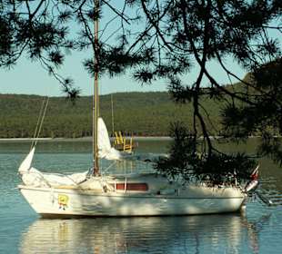 Segelboot auf dem Machasee