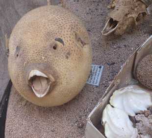 Fahrradausflug in die Wüste