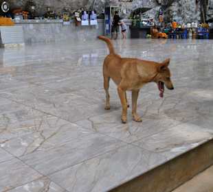 Tiger Cave Tempel (Wat Tham Sua)