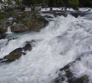 Rheinfall