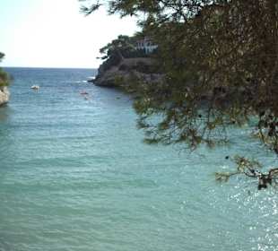 Bay