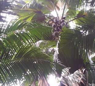 Ausflug mit Mario von Edelweiss Tours