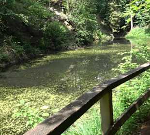 Wanderweg Märchensee Runde