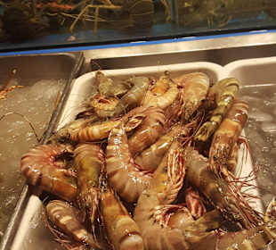 Gastro