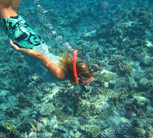 Schnorchel am Hausriff