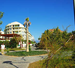 Ende Nov. 2012 Am Strand entlang