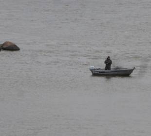 Die Weichsel (Blick von der Gdański Brücke)