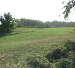 Wanderung zur Burgruine Liebenau