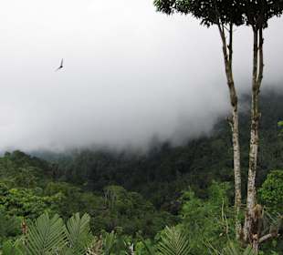 Orte,an die nicht jeder fährt
