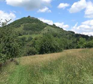 HAP Grieshaber Rundweg