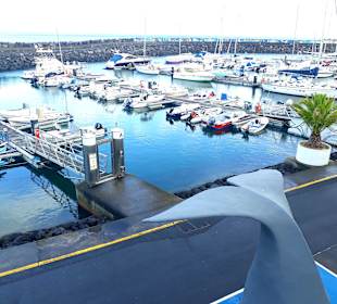 Hafen Vila Franca do Campo