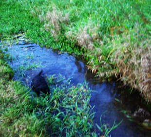 Bachlauf noch mal schönes Bad nehmen